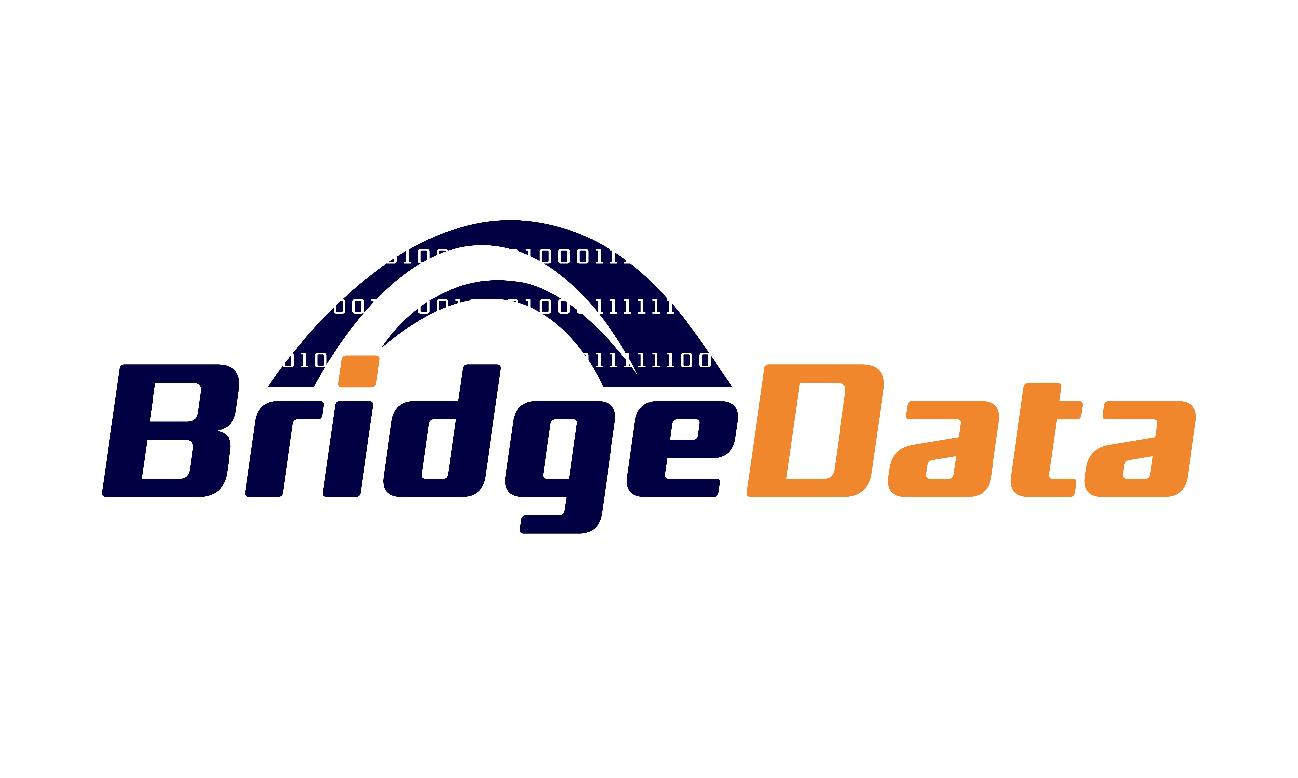 BridgeData logo